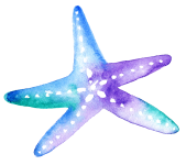 starfish